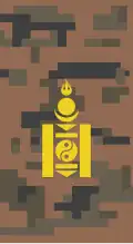 Shoulder board of cabinet members and deputy minister of defence.[5][6][7]