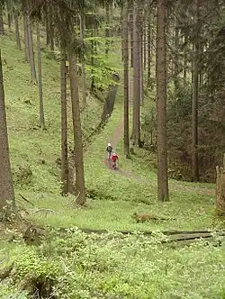 Walkers by the Morgenbrodstal Ditch near Dammhaus