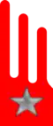 Regiment "Lancieri di Aosta" (6th)