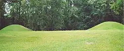 Bynum Mound and Village site