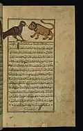 This folio from Walters manuscript W.659 depicts the second 2 carriers of the firmament (lion and vulture).
