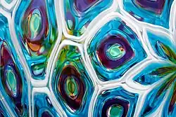 Close-up of transparent murrine incorporated into a vessel by David Patchen.