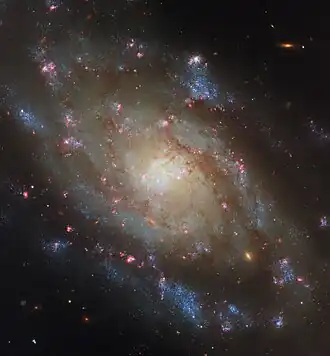 Image Description: A spiral galaxy. It’s noticeably bright around the central region of its disc, then dims somewhat out to the edge where there are fewer stars. Two spiral arms circle through the disc and emerge beyond its edge, around the galaxy’s sides. Many pink spots of new star formation, as well as dark reddish strands of dust, cover the galaxy. The arms contain some speckled, blue patches containing hot stars.