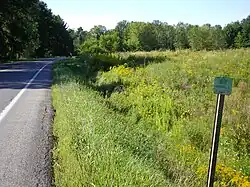 Road in woods and greens with old road sign to the east
