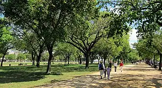 Image 65Facing east on the National Mall, as viewed near the 1300 block of Jefferson Drive, S.W. in April 2010. Rows of American elm trees line the sides of a path traversing the length of the Mall. (from National Mall)