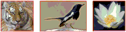 History of Bangladesh and seal script