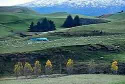 Image 25Rural landscape close to Mt Ruapehu (from Geography of New Zealand)