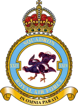 Squadron badge