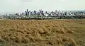 Downtown Calgary seen from Nose Hill