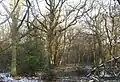 Nower Wood