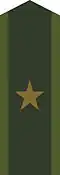 Collar patch m/58 for a second lieutenant