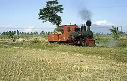 Asembagus 5