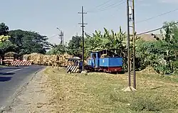 Purwodadi 15