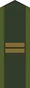 Collar patch m/58