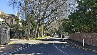 Oak Avenue