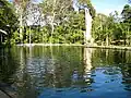Ojo de Agua, Altagracia, in Ometepe Island.