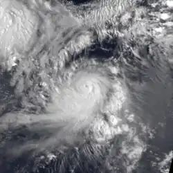 Colored visible satellite image of Typhoon Omar displaying a well-defined eye surrounded by an expansive cloud circulation.