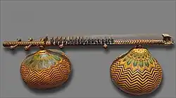 Rudra vina has frets.