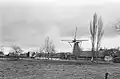 The mill and its surrounding buildings in 1981
