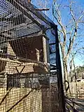 Injured owl at the exhibit on Bird Hill