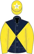 DARK BLUE and YELLOW DIABOLO, yellow sleeves, yellow cap, white star