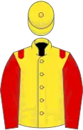 Yellow, red epaulettes and sleeves, yellow cap