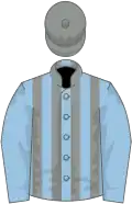 Light blue, grey stripes on body, grey cap