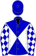 Blue, white diabolo, diamonds on sleeves