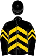 Black, gold chevrons, gold chevrons on sleeves, black cap