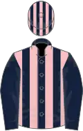 Dark blue and pink stripes, dark blue sleeves