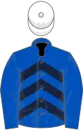Royal blue, dark blue chevrons on body, white cap