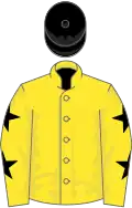 Yellow, Black stars on sleeves, Black cap