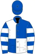 ROYAL BLUE and WHITE QUARTERED, hooped sleeves, royal blue cap