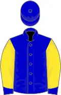 Blue, yellow sleeves, blue cuffs