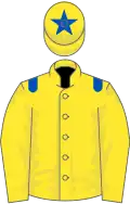 YELLOW, royal blue epaulettes, yellow cap, royal blue star