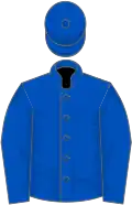 Royal Blue, White Pinstripes on Back,
