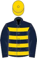 Dark blue, gold hoops, dark blue sleeves, gold cap