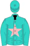 Turquoise, pink star, turquoise sleeves and cap