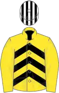 Yellow, black chevrons on body, black and white striped cap
