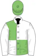 Light green and white (quartered), white sleeves, light green cap