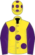 Yellow, large Purple spots, sleeves and spots on cap