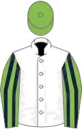 Light Green, Dark Blue striped sleeves, White cap