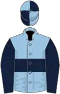 Light blue, dark blue hoop and sleeves, quartered cap