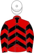 Red, black chevrons, white cap