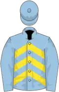 Light blue, yellow chevrons on body