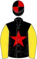 BLACK, red star, yellow sleeves, black and red quartered cap
