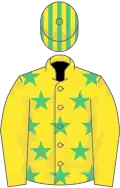 Yellow, emerald green stars, yellow sleeves, striped cap