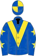 Royal blue, yellow chevron, yellow stars on sleeves, quartered cap