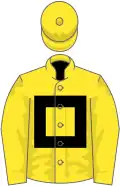 Yellow, black hollow box