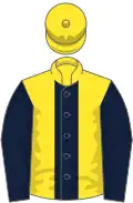 Yellow, dark blue stripe and sleeves, yellow cap